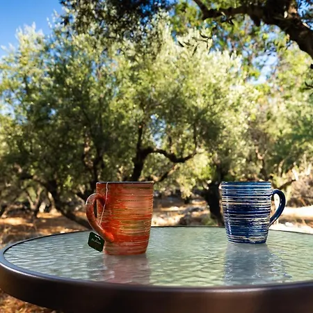 Thalassa Σπίτι διακοπών *