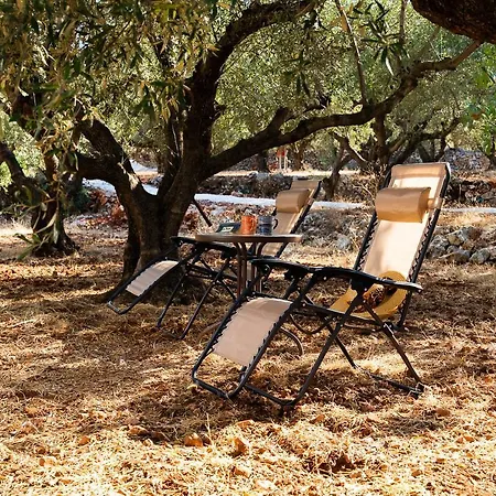 Thalassa Casa vacanze