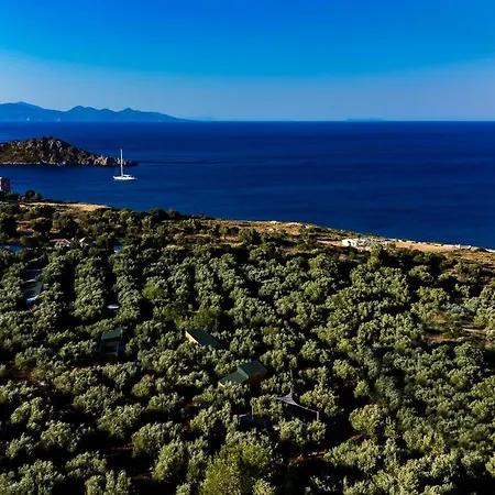 Thalassa Holiday home *